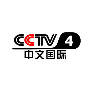 CCTV4-300x.png