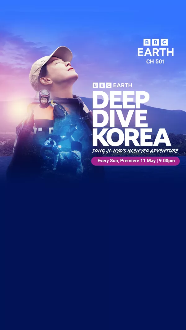 BBC E