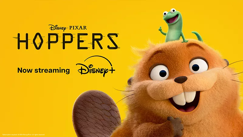 Hoppers
